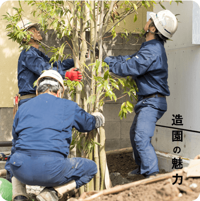 造園の魅力